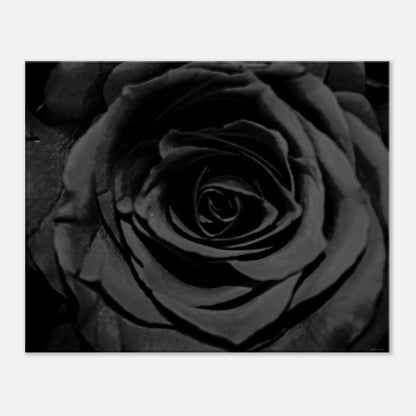 89e77e53-f643-4740-bb6a-c100160cea1f