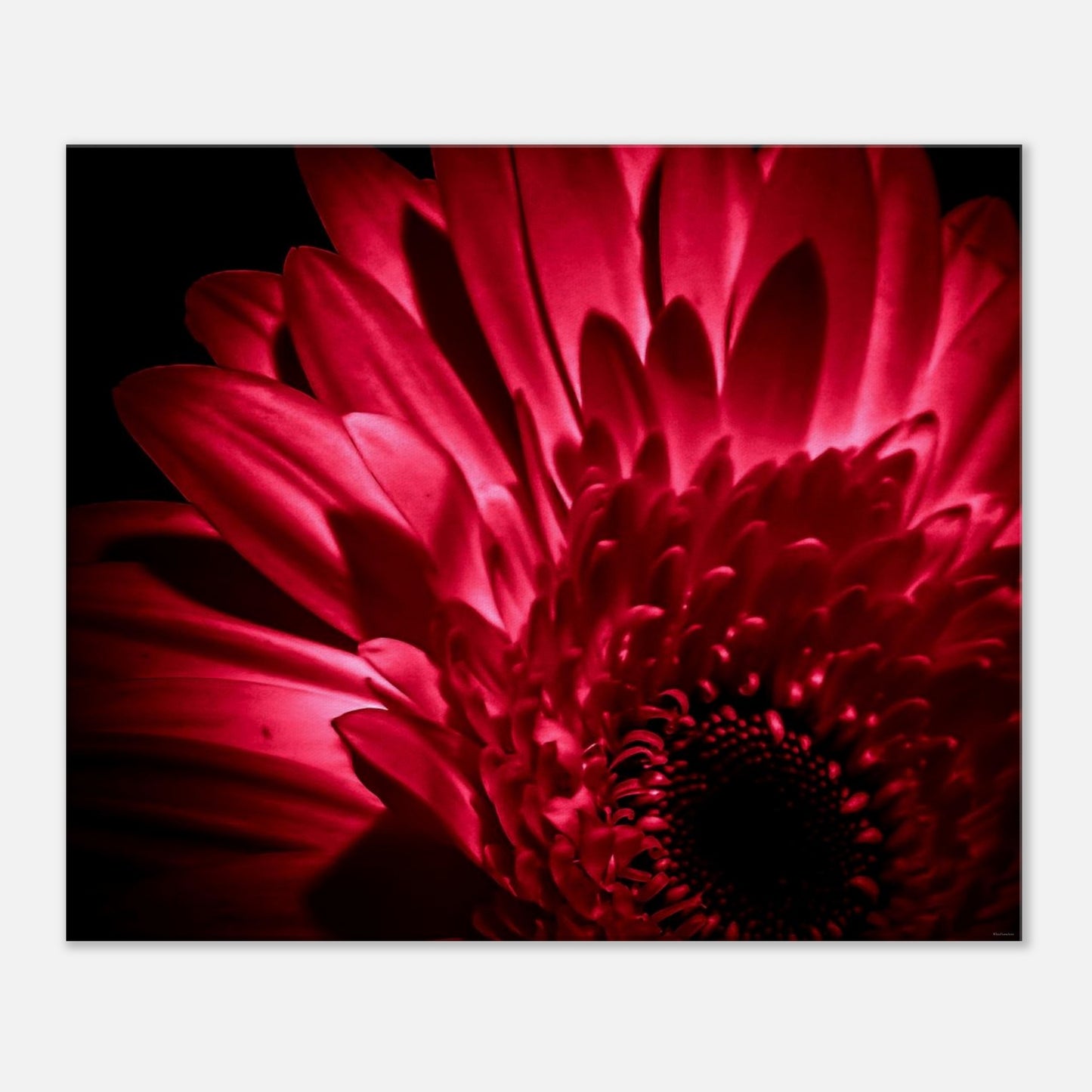 89f54863-51fb-4582-99a2-14d1bee28eb1