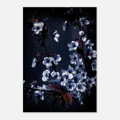 8a2ee7a9-2f34-404b-92a0-643478a436b7