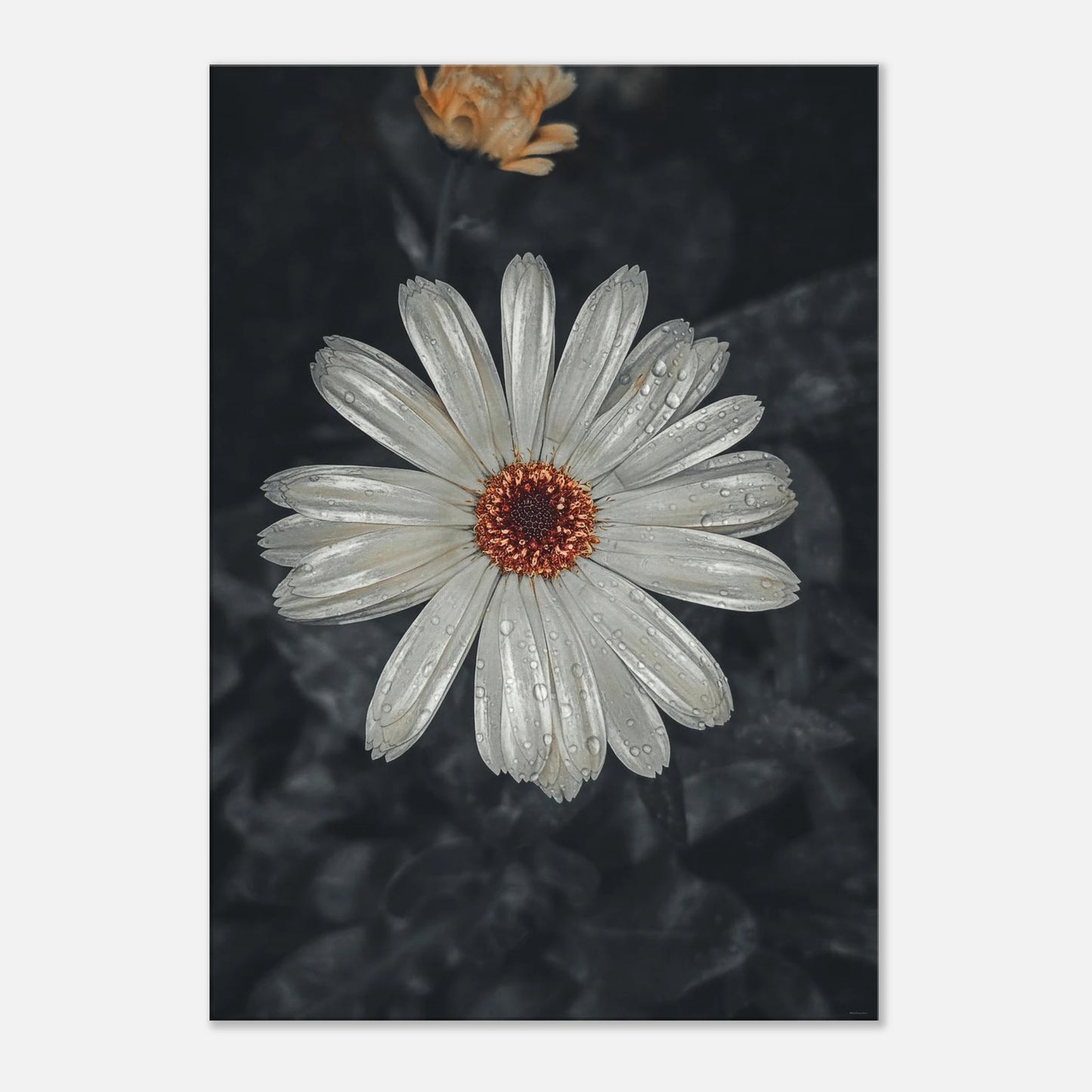 8a323615-b3ca-4b5a-abda-c97c3d7c6824