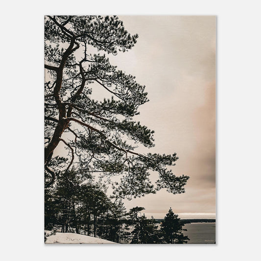 8a6125f9-517f-4f74-9a44-6ff7e7769e81