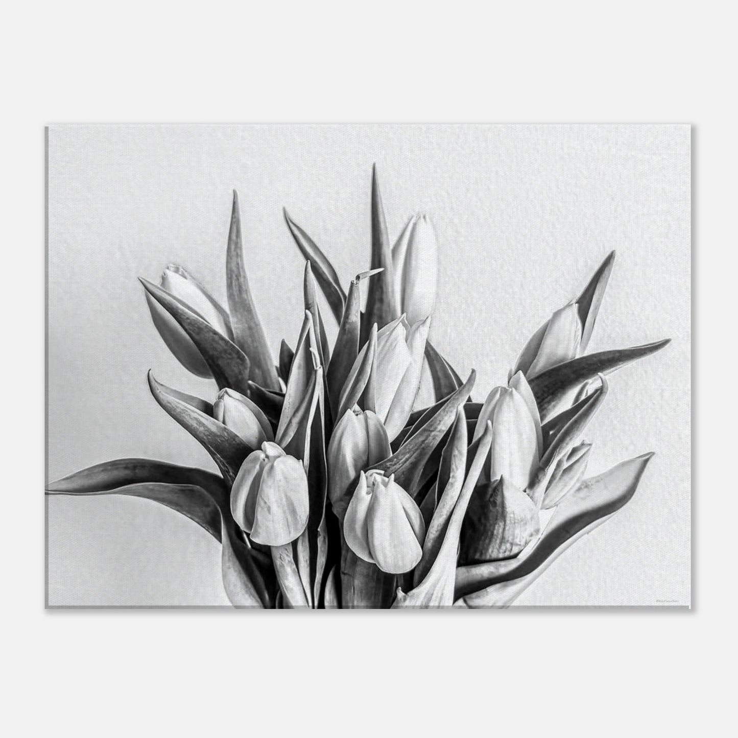 8a7ef72a-c0b5-4b48-a10a-ad42534552d9