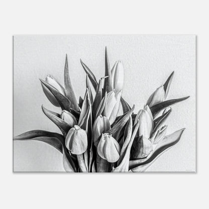 8a7ef72a-c0b5-4b48-a10a-ad42534552d9