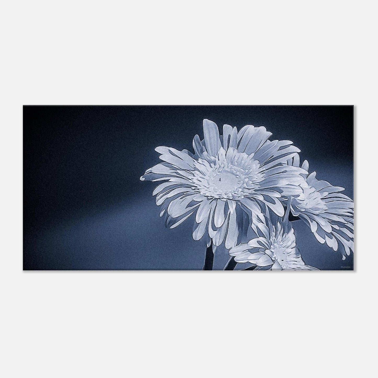 8a968f43-510d-4aef-b6cb-c6213560e8a7