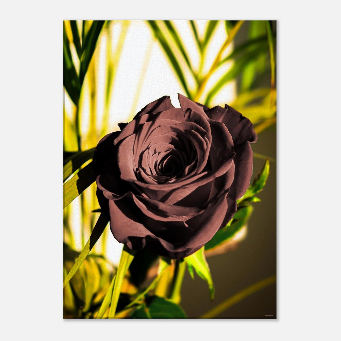 8ab06043-f4e8-42db-aa59-dbeecaf719ef