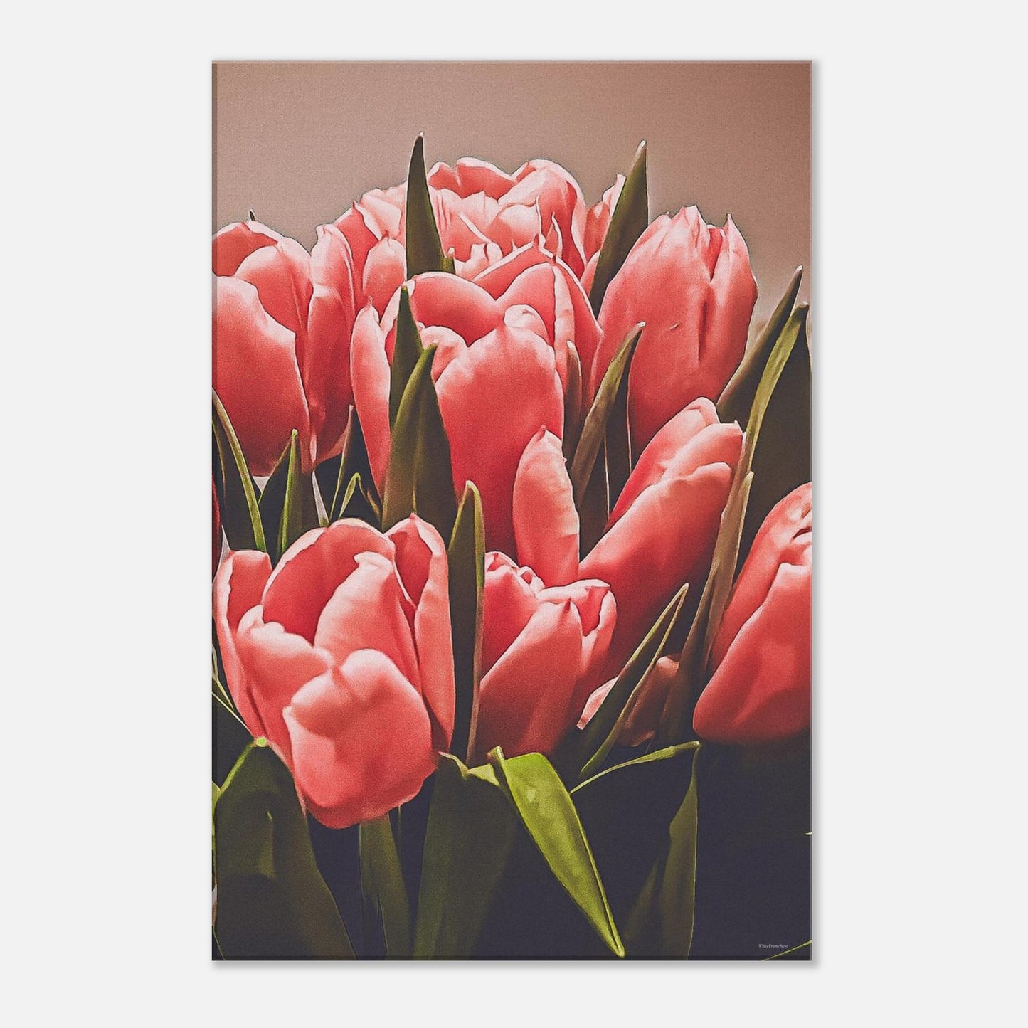 8ab8257b-8456-4f12-9af9-8092e6cf9816