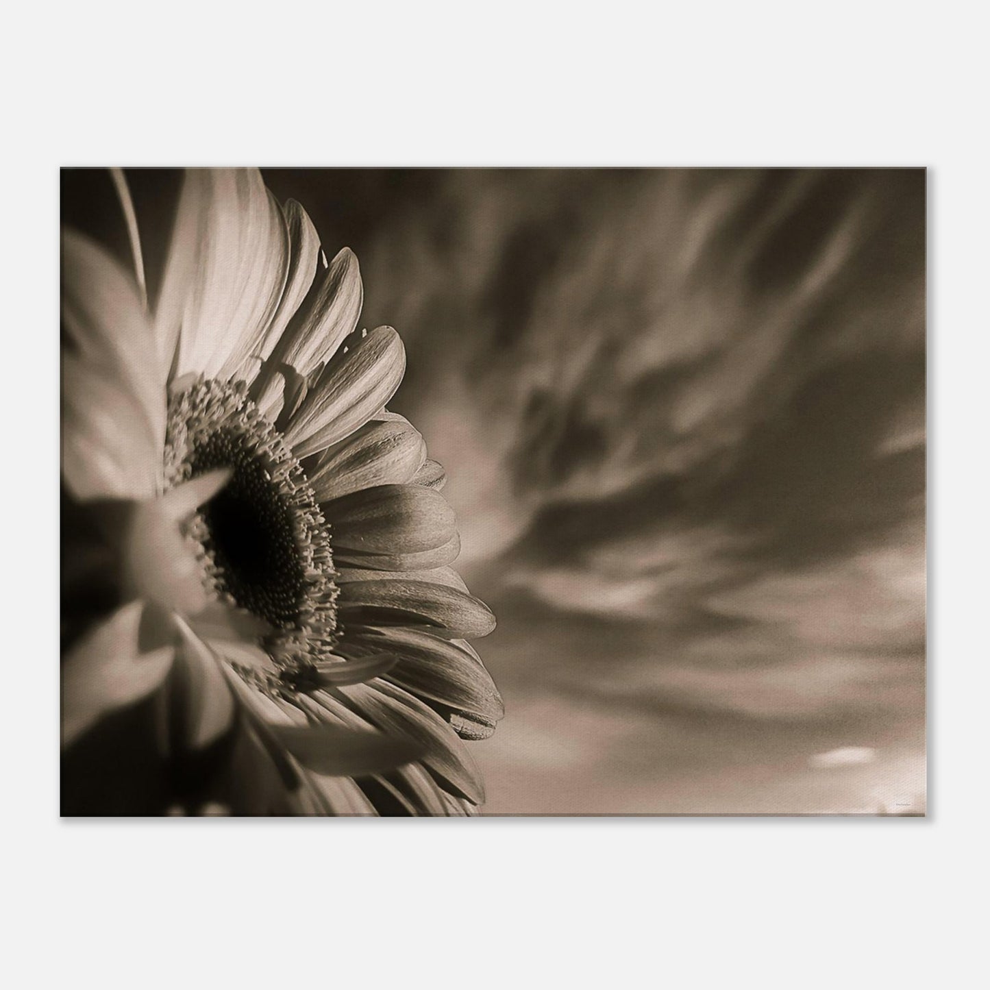 8acc4697-7c30-45bf-bf21-253753a57304