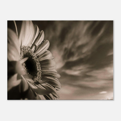 8acc4697-7c30-45bf-bf21-253753a57304