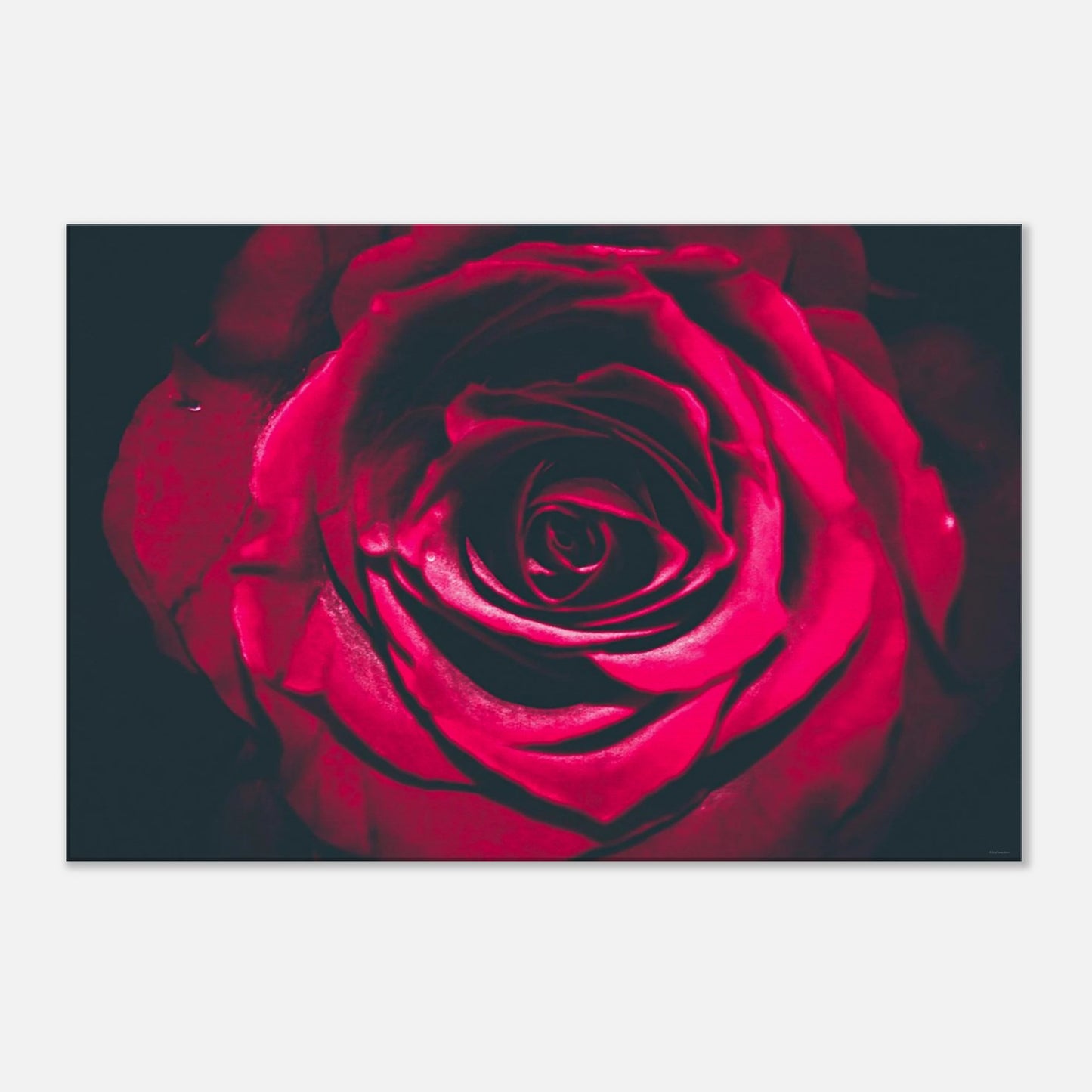 8adab5b7-59e7-45c0-8ff7-1956788f90d5