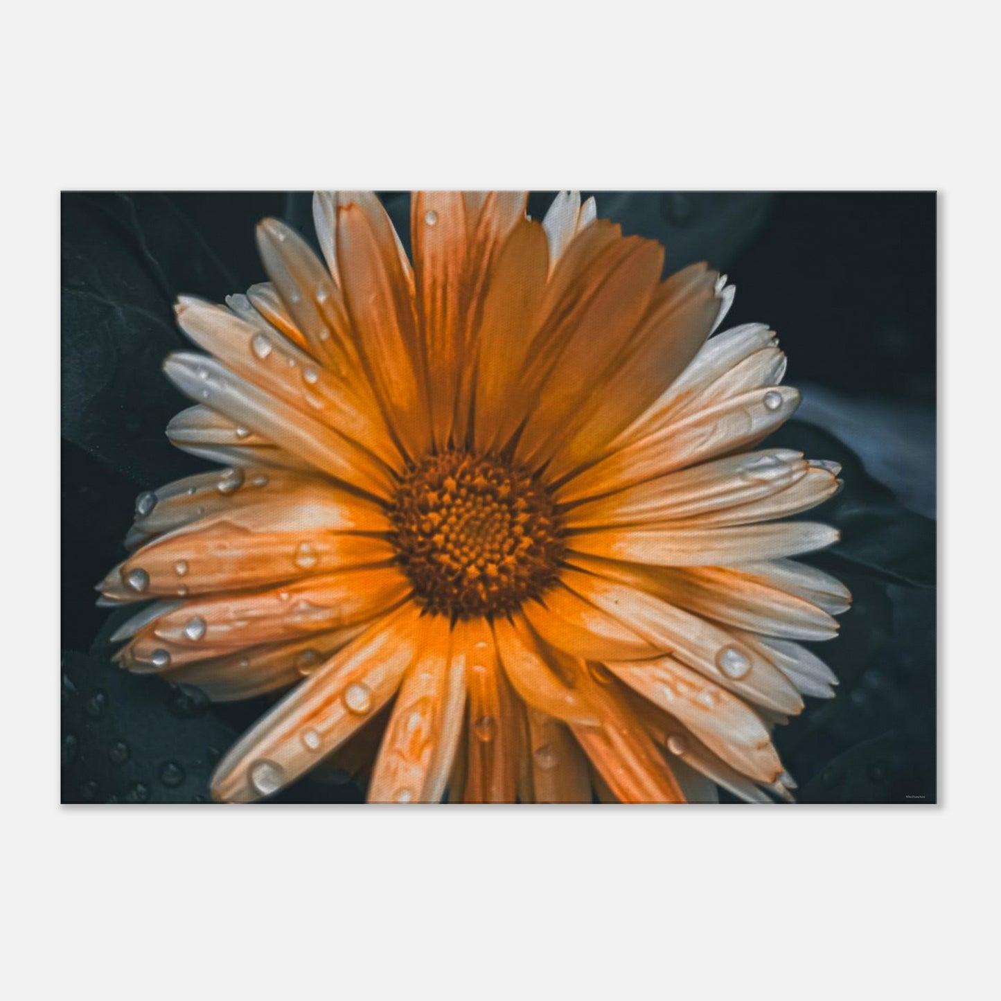 8adca6cc-926e-48c9-a2e7-7d1e6c2ff97d