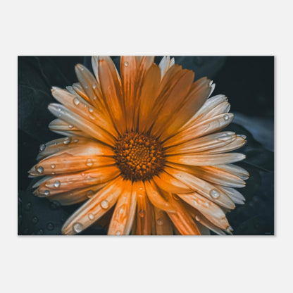 8adca6cc-926e-48c9-a2e7-7d1e6c2ff97d