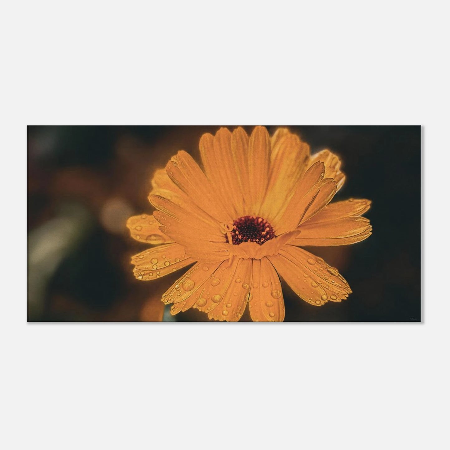 8ae2c1c6-5089-42c1-99cc-c1ce8e6b99ee