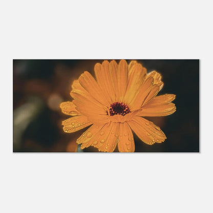 8ae2c1c6-5089-42c1-99cc-c1ce8e6b99ee
