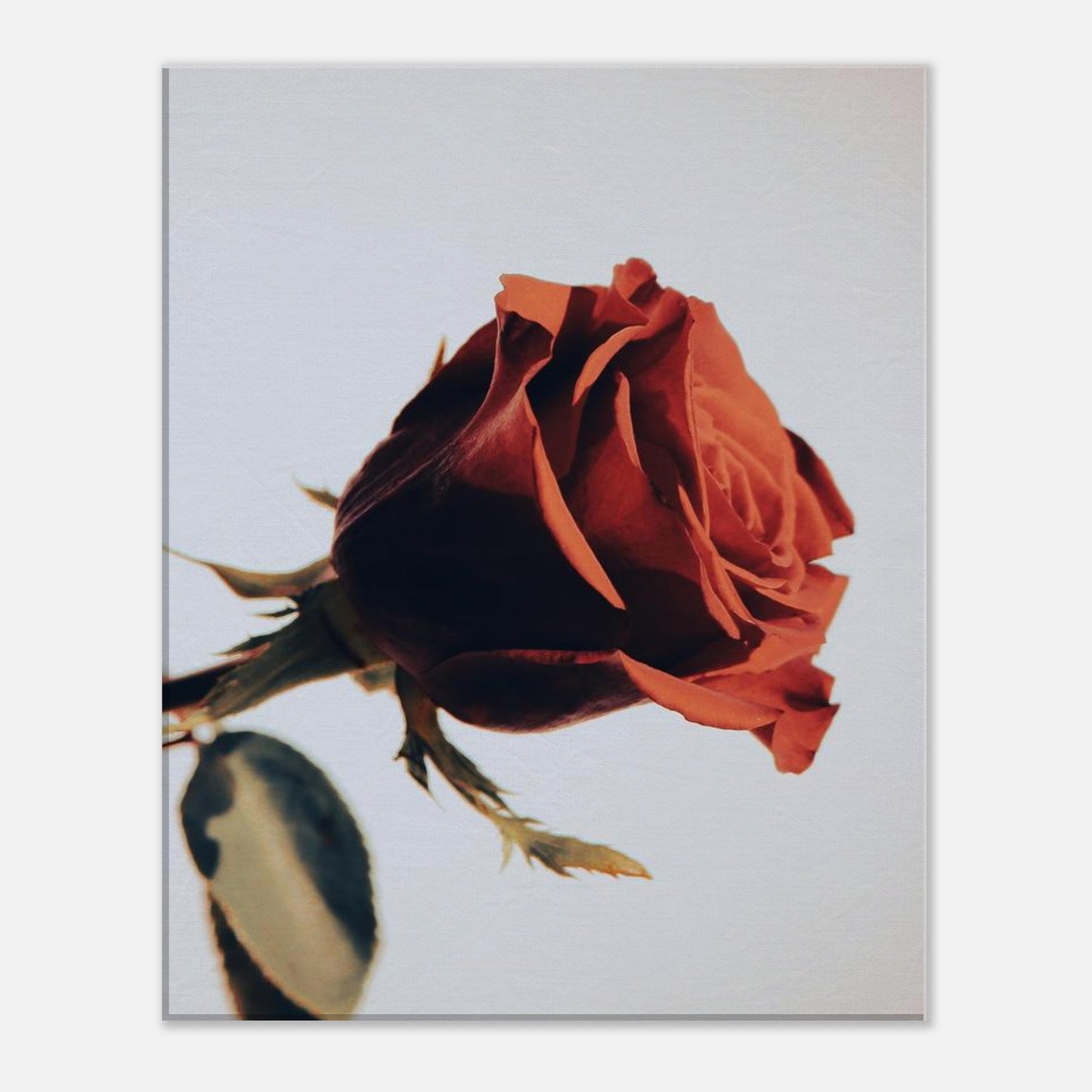 8af396be-644e-4409-bf7a-13aeb07e1c65