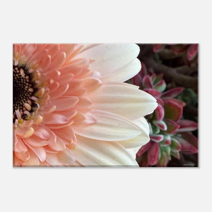 8af4571e-6919-4347-b214-a327210c5a1b