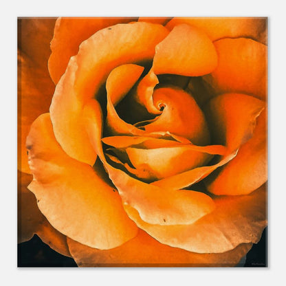 8b05b13c-a456-41c0-8132-6567d1f5c756