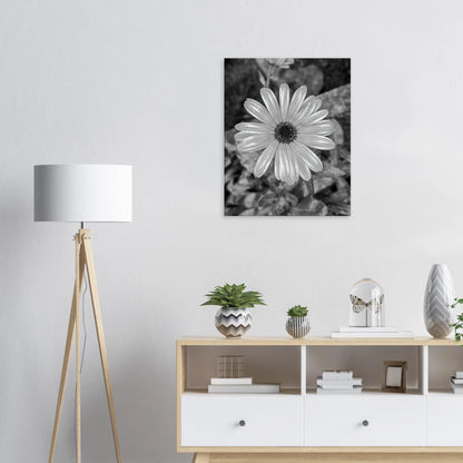 8b0d635d-1782-4d95-91fe-f344db097d82