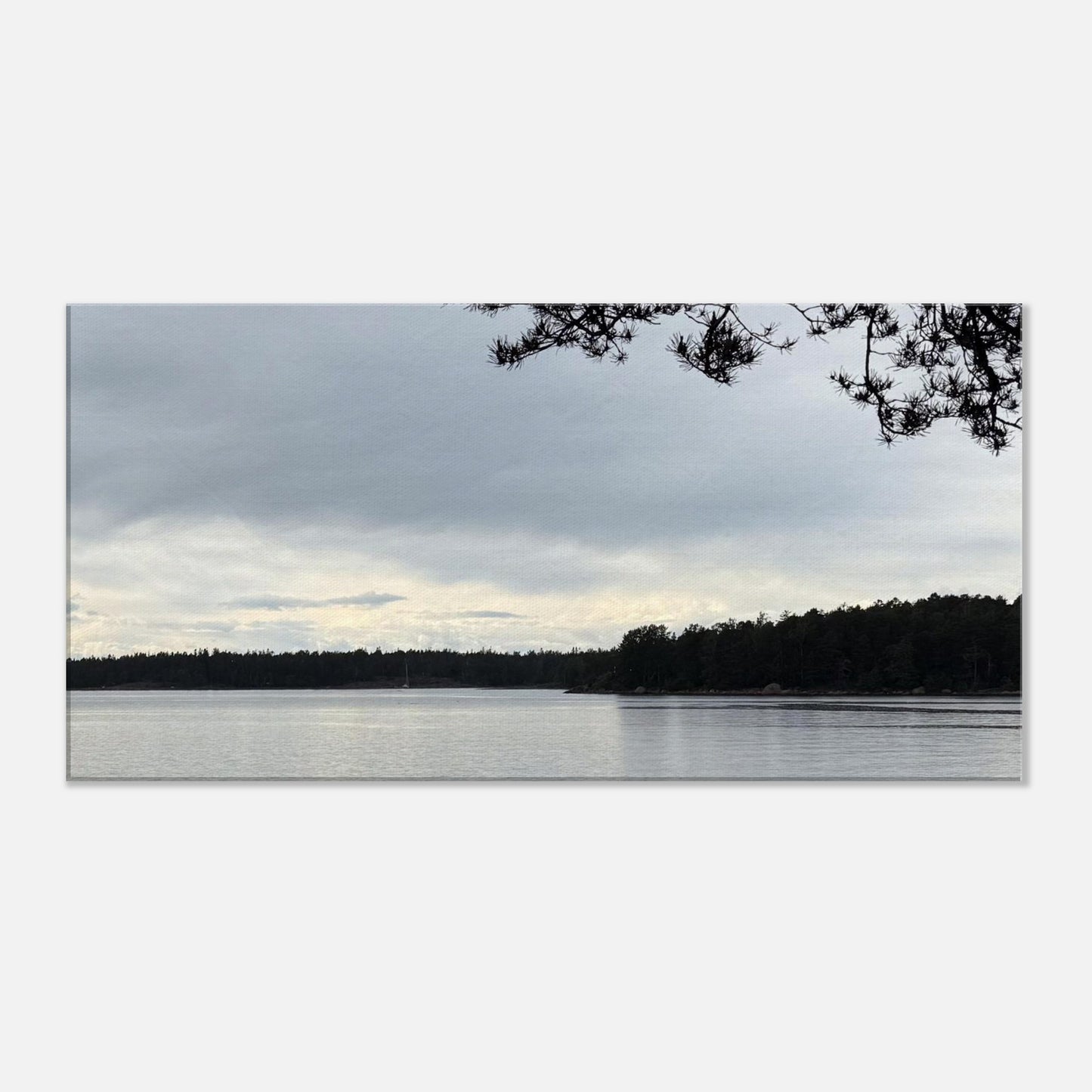 8b3259c9-3c81-4121-8b91-dbfc501bc02a