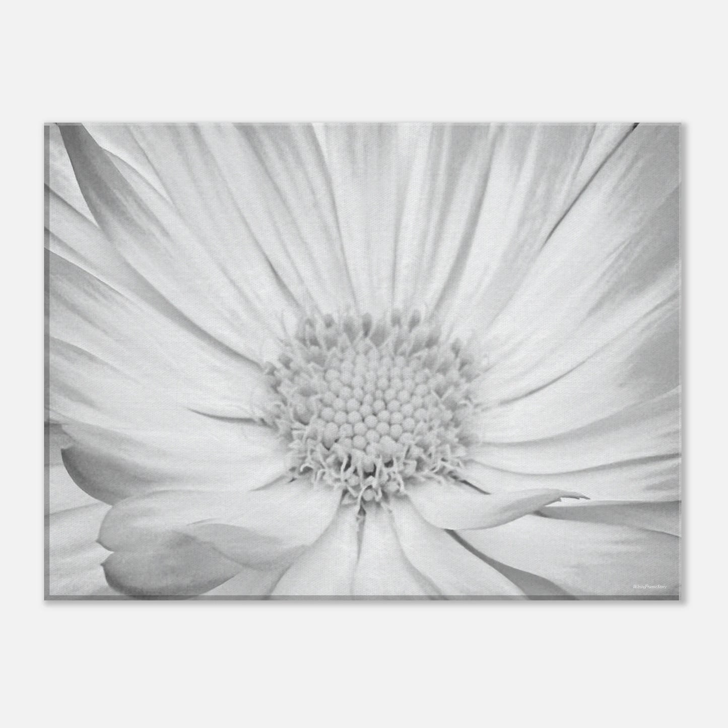 8b6a3ff1-733d-46cd-8ca6-0aa3b1bd6b76