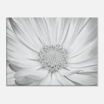 8b6a3ff1-733d-46cd-8ca6-0aa3b1bd6b76