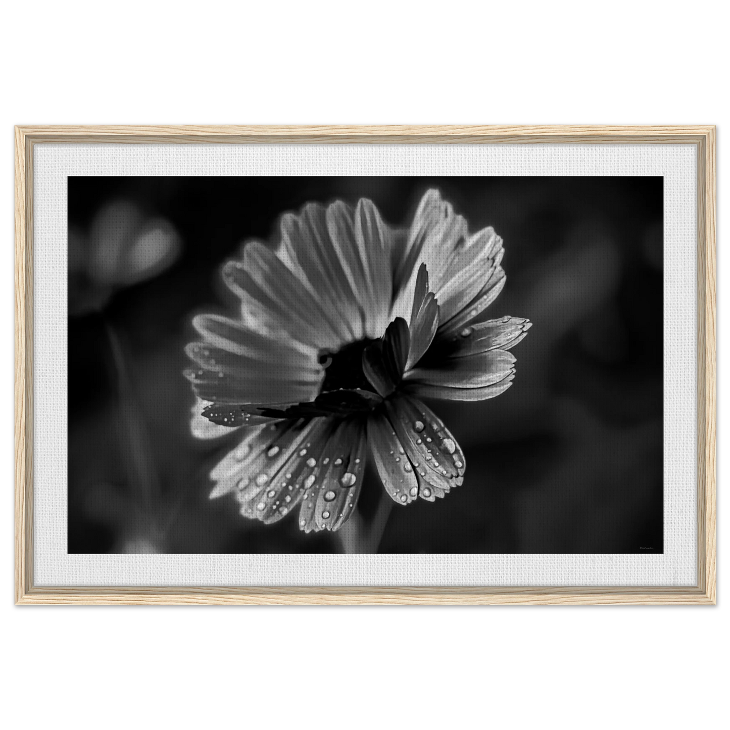 8baf520c-ce60-4b77-9e0d-b8b0c5aa12e8