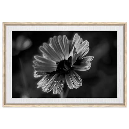 8baf520c-ce60-4b77-9e0d-b8b0c5aa12e8