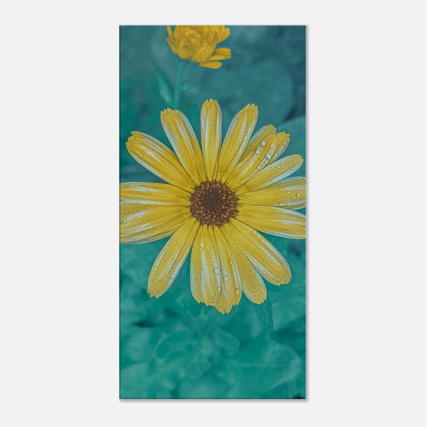 8bc1056a-1ba8-4c09-966e-a8dde4dcf8c9