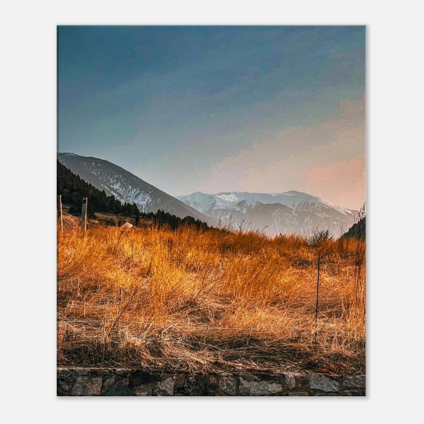 8bc937fc-ea13-42b3-a948-41596947cdfe