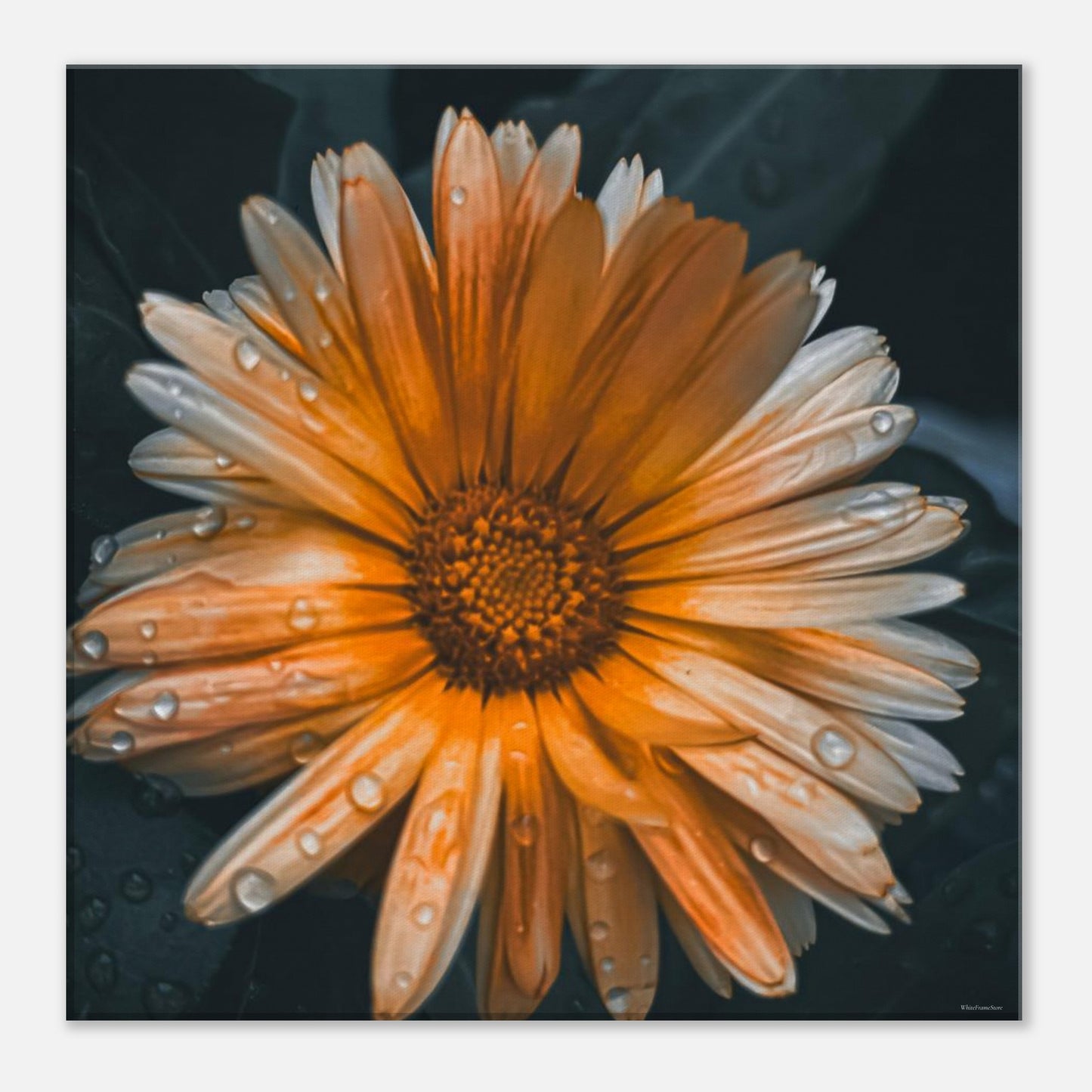 8bfbd24f-e158-4441-a654-9eb168227ad0