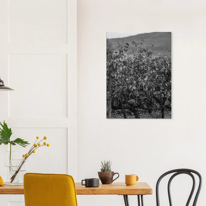 8bff80ce-ad1c-4ef2-8e61-77234e901d37