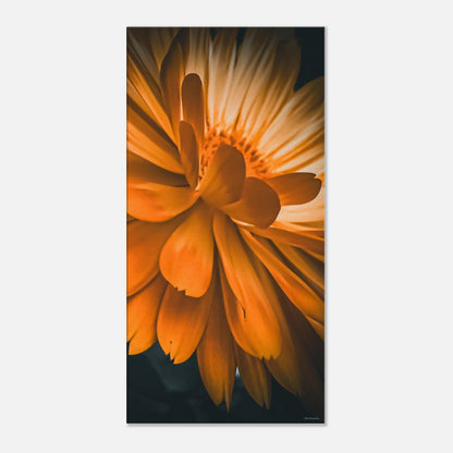 8c0d5f84-64b8-40b4-86bf-52763c273f0e