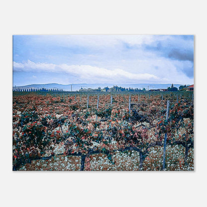 8c0dcb35-bd27-44d1-9da6-9fcd09c60708