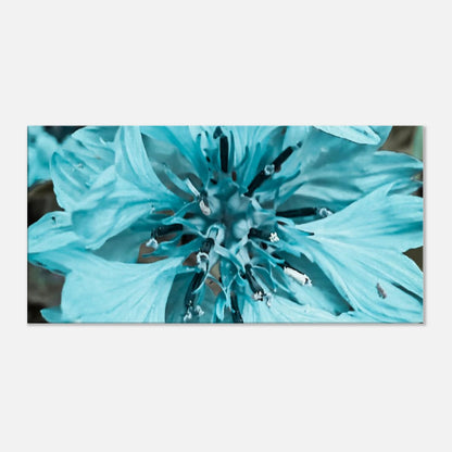 8c30516c-7a48-45e9-94c6-0dac50ff6a56