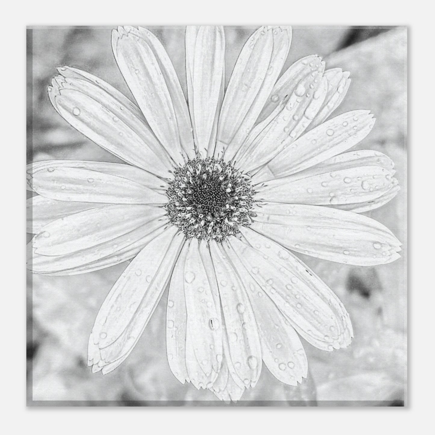 8c59f303-32d7-4302-a316-ea2eccb9b0f6