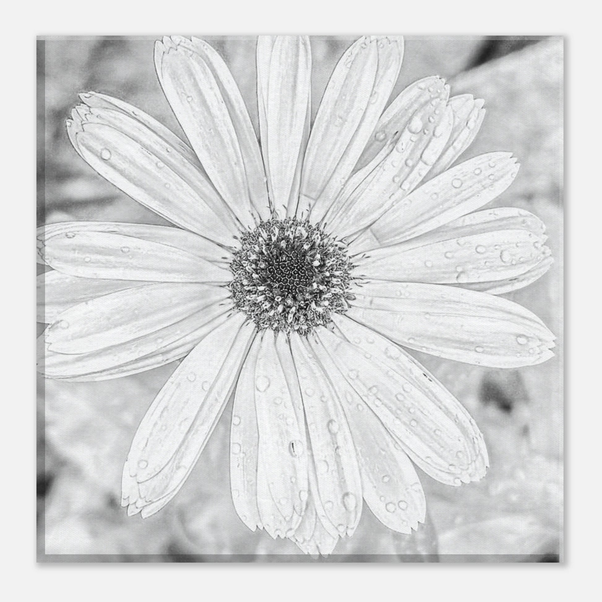 8c59f303-32d7-4302-a316-ea2eccb9b0f6