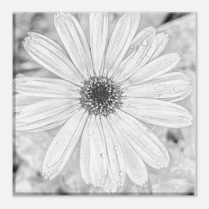 8c59f303-32d7-4302-a316-ea2eccb9b0f6