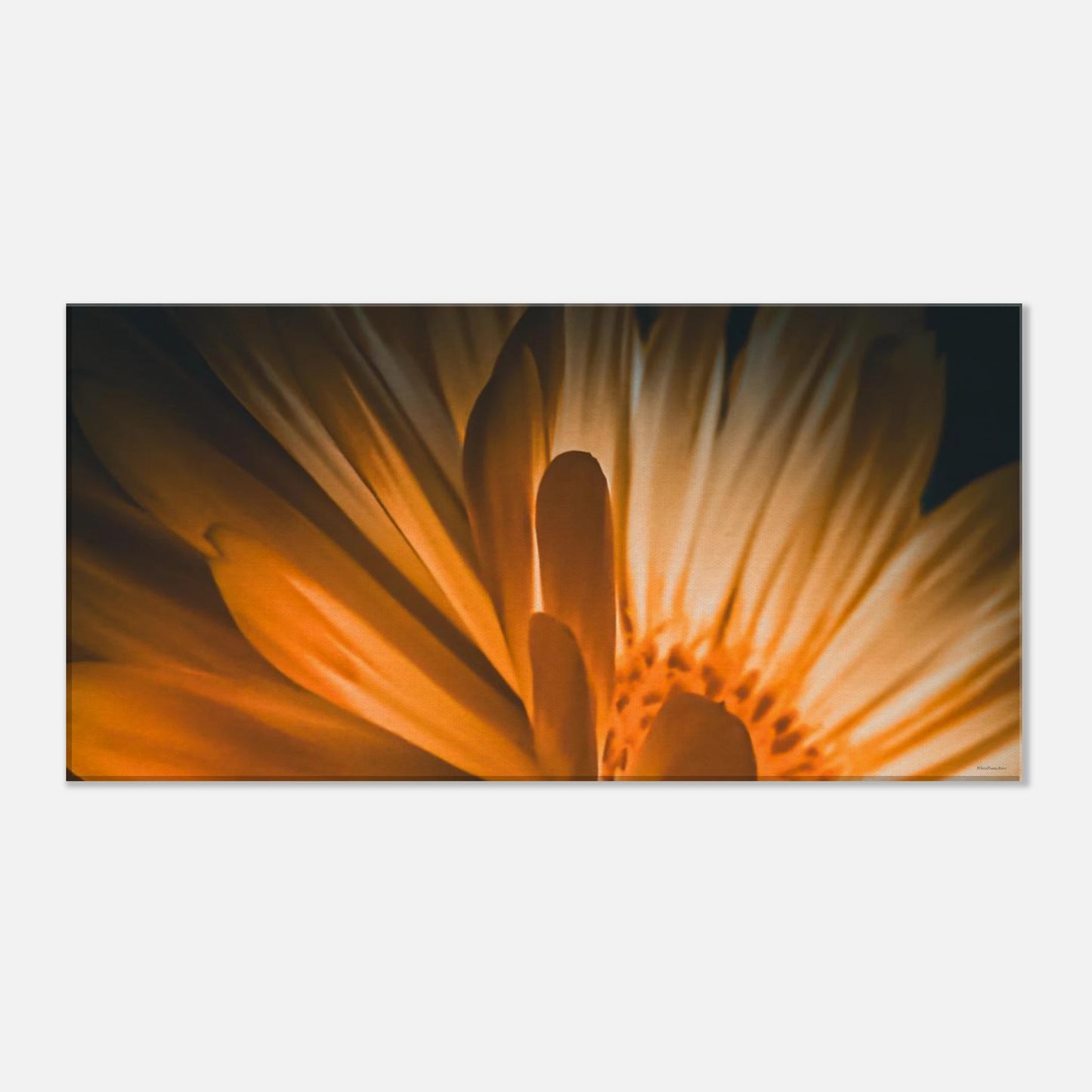 8c821dfb-5bdf-46fc-851e-26781ab7fa48