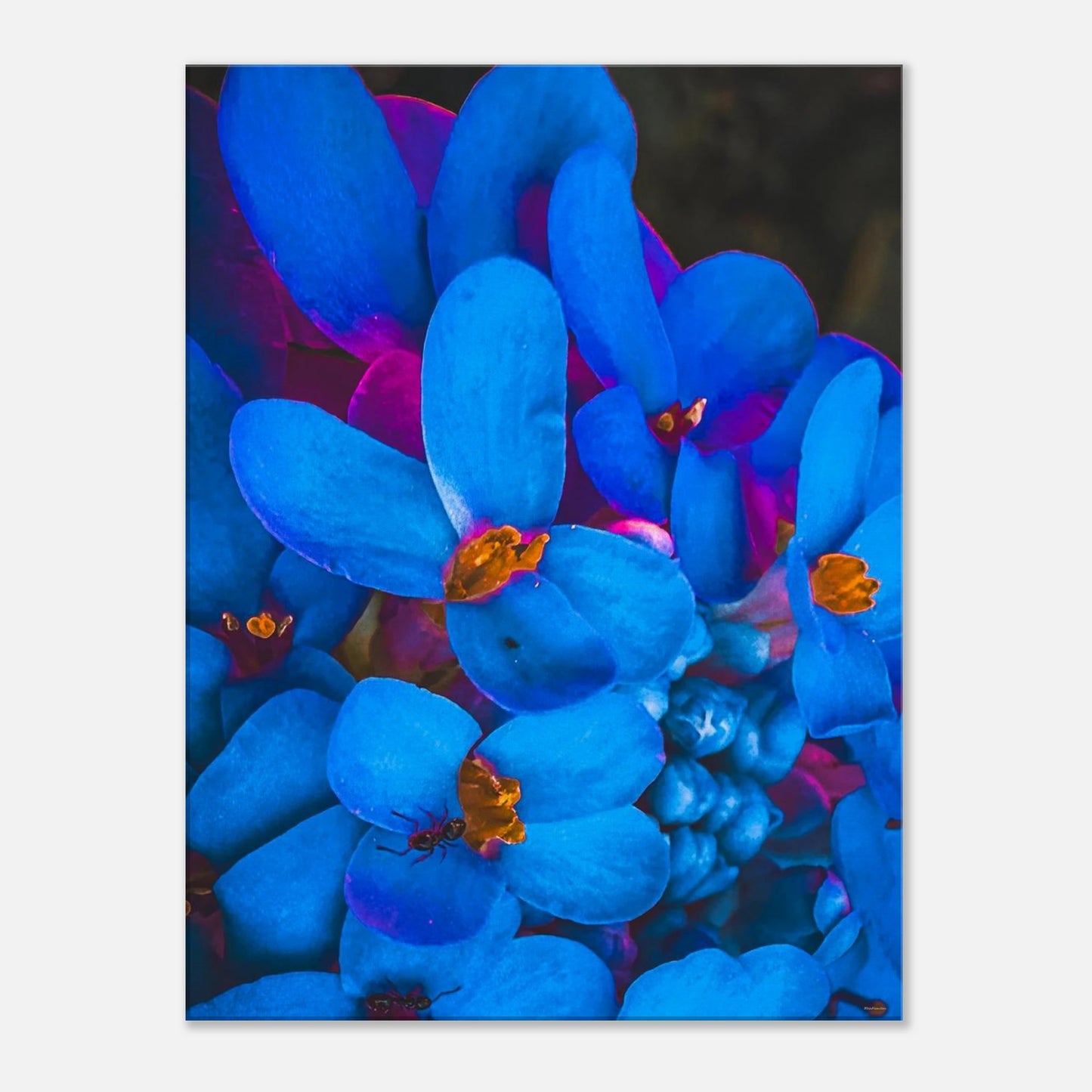 8c82fd55-7fa1-43cf-995b-7d388a7fe898