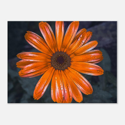 8cbb21bd-197e-4c88-aff7-8f3a82472980