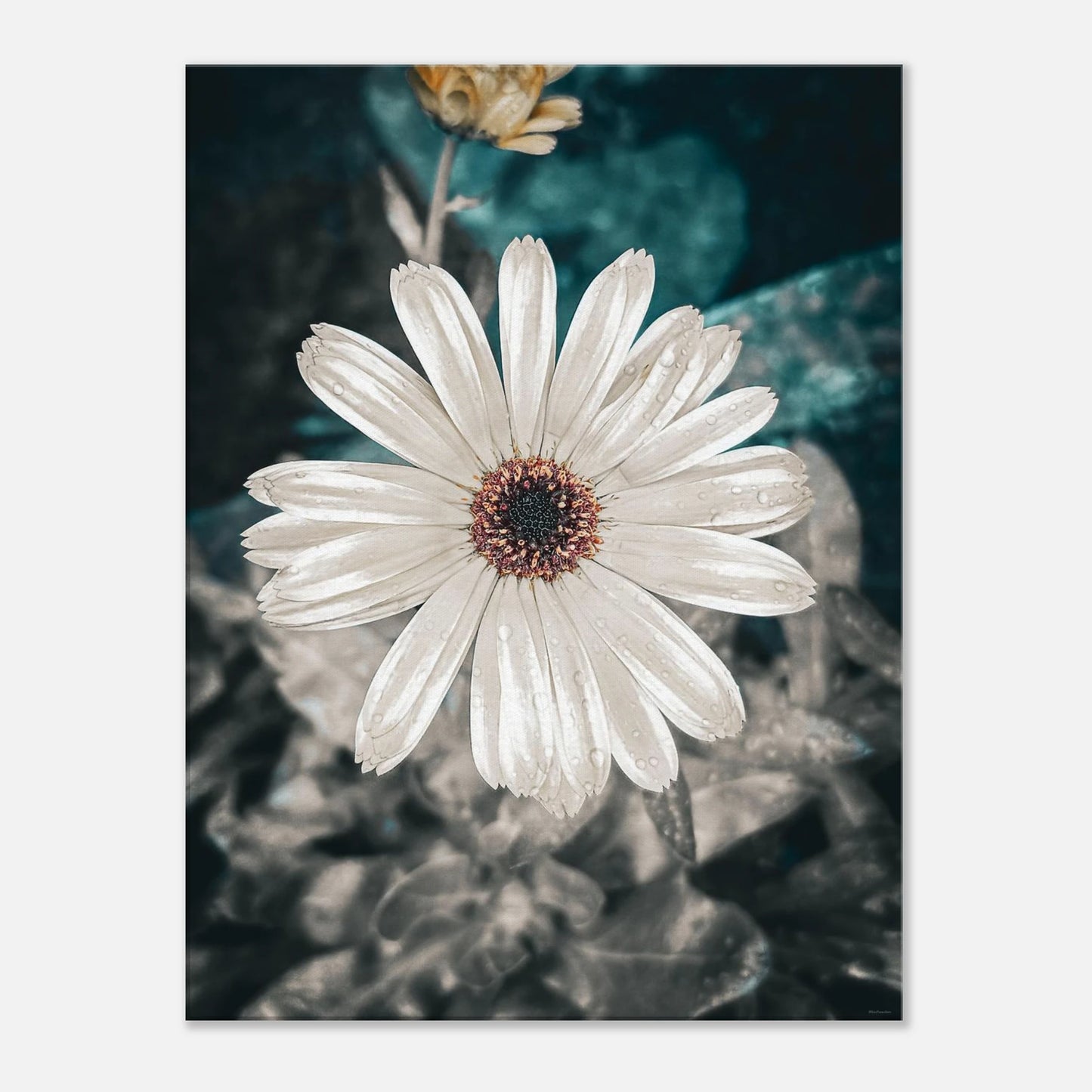 8cc58a36-c45c-4397-860e-d72022a40c1a