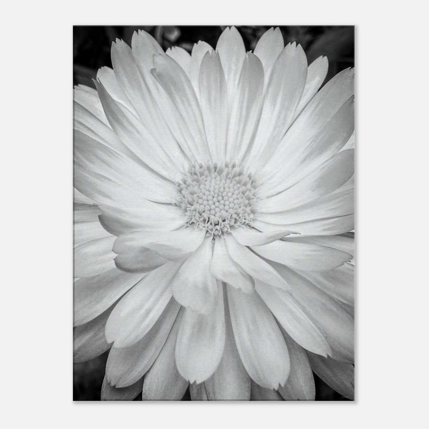 8ceb2bd0-5cc0-47c8-b79e-df5fbcb97980