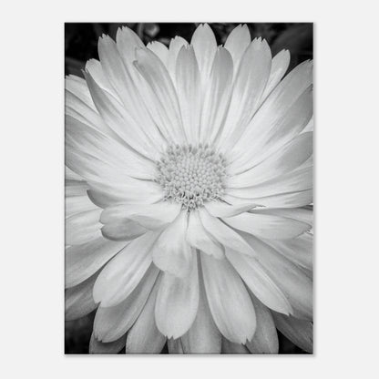 8ceb2bd0-5cc0-47c8-b79e-df5fbcb97980