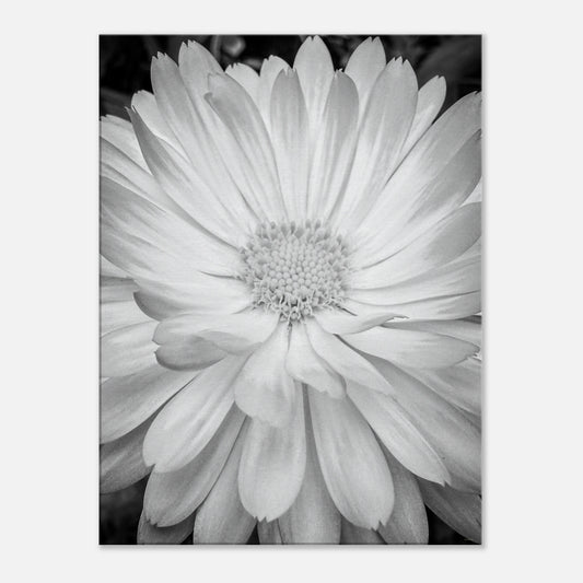 8ceb2bd0-5cc0-47c8-b79e-df5fbcb97980