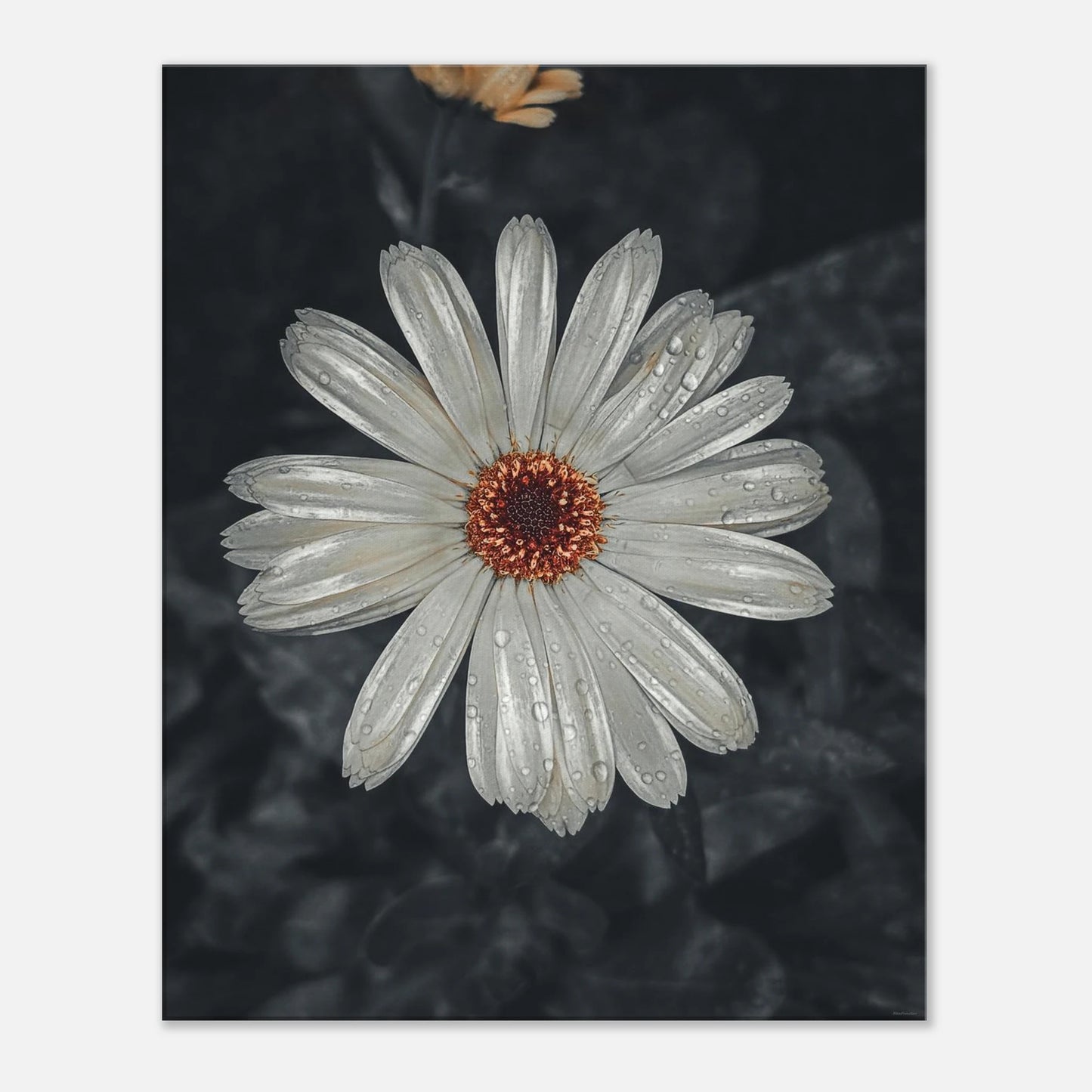 8cf9ea1e-1405-42ea-af80-5a60f543a16e