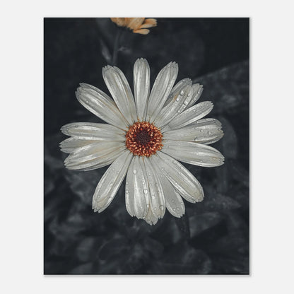 8cf9ea1e-1405-42ea-af80-5a60f543a16e