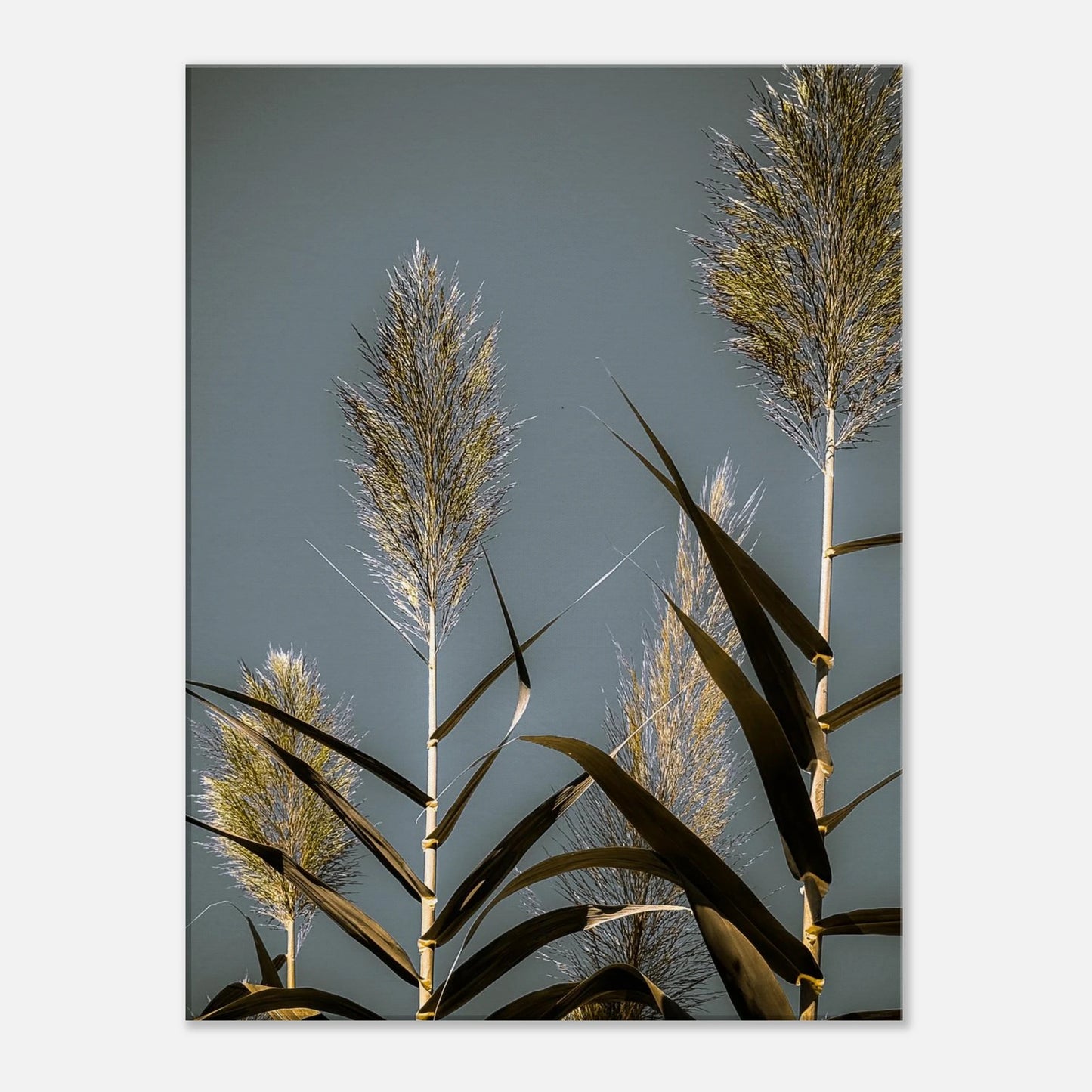 8d235c44-e388-4b7b-9d4d-bf7bf6dc06ee