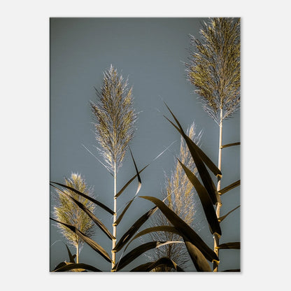 8d235c44-e388-4b7b-9d4d-bf7bf6dc06ee