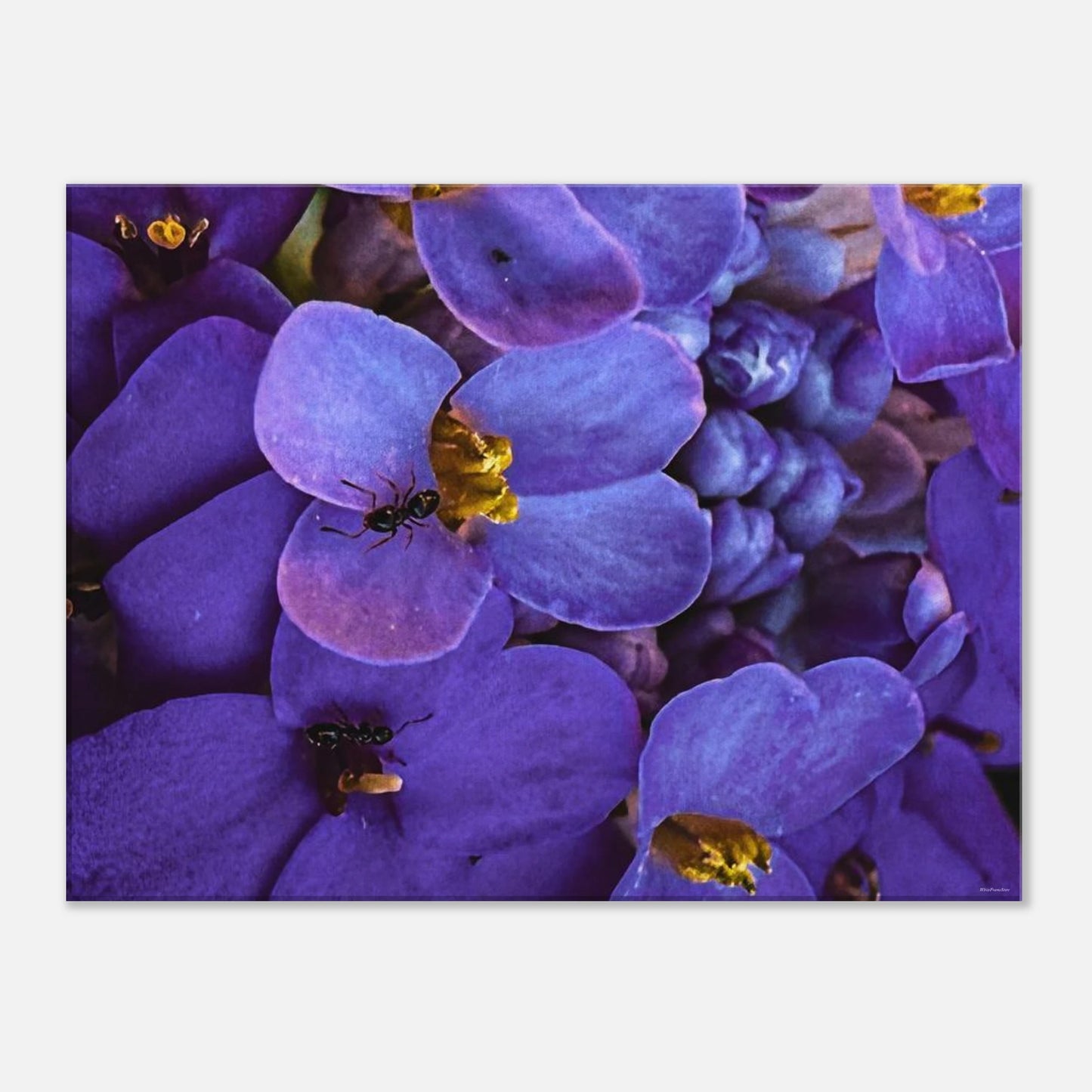 8d4a4d7f-45fd-4bb2-90eb-41713005a946