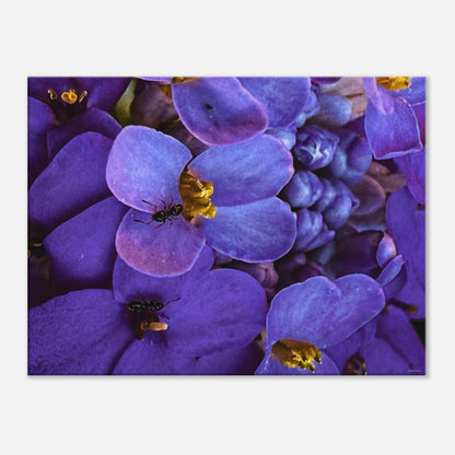 8d4a4d7f-45fd-4bb2-90eb-41713005a946