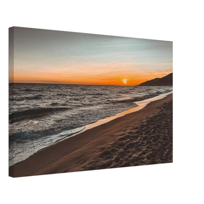 8d4fef36-5ff8-451f-8ab5-03a02b6ded79